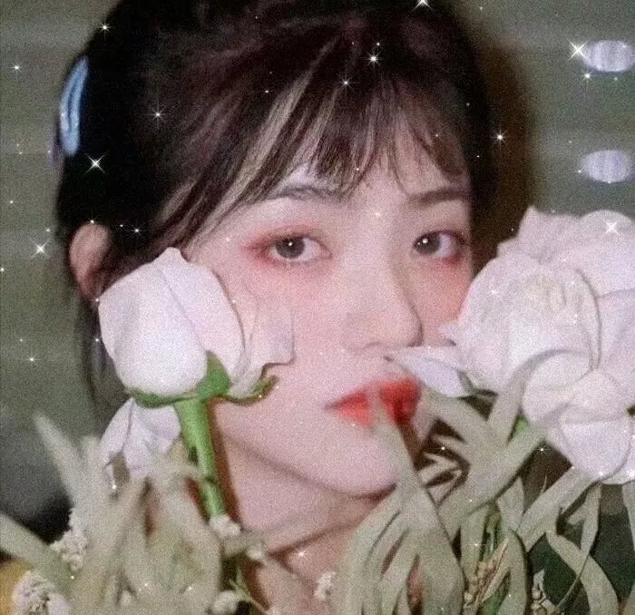 海葵